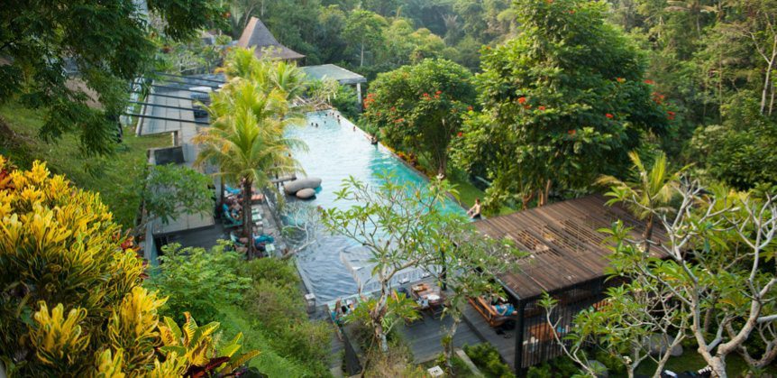 Jungle Fish, Ubud - jaw-dropping beauty