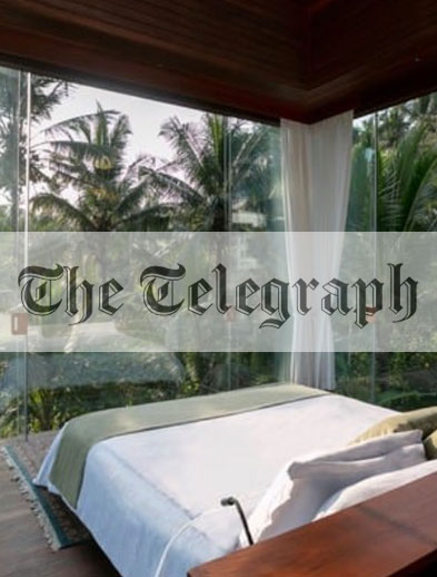 The Telegraph website logo