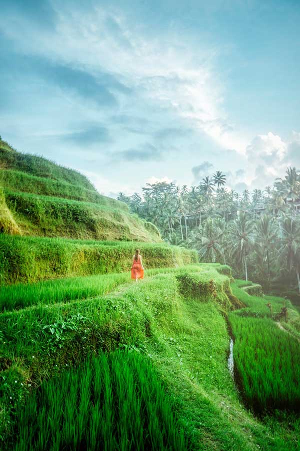 Walking in Bali, Bliss Bali retreat  