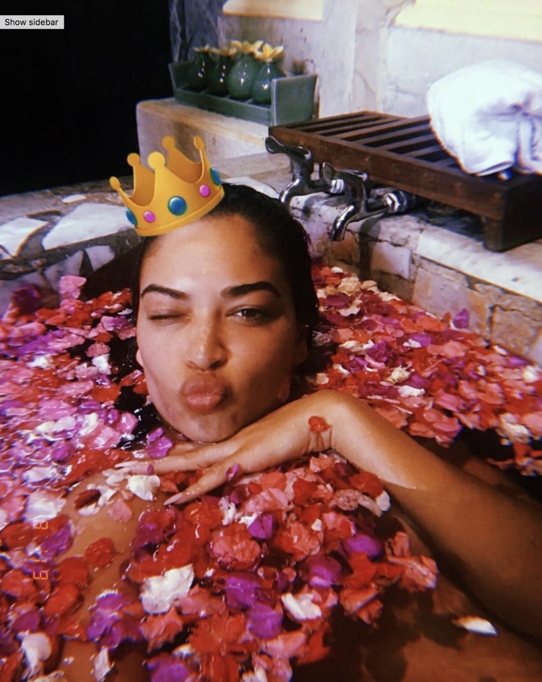 Shanina Shaik was pictured pouting among the petals. Credit: Instagram